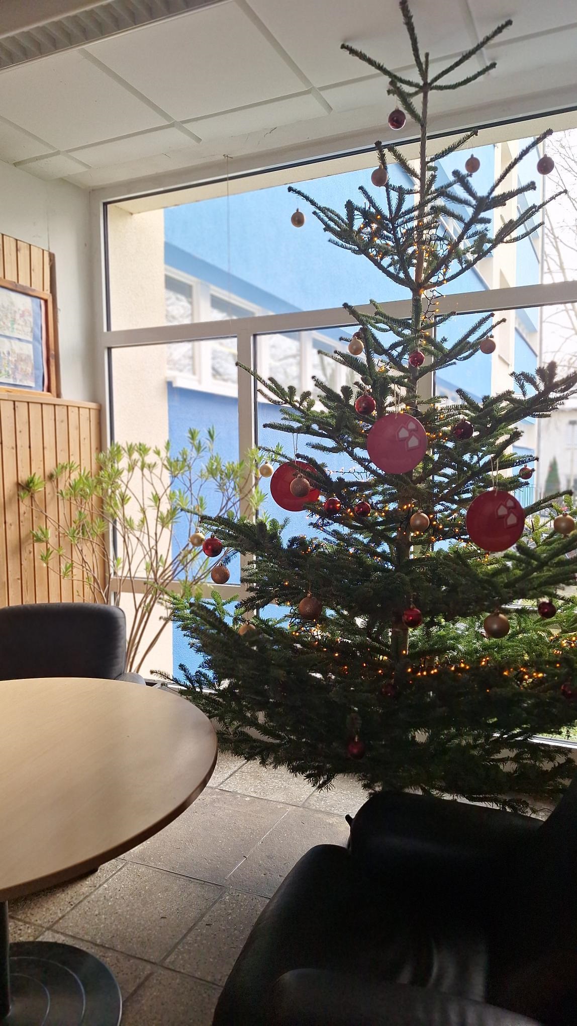 DIE SEKUNDARSCHULE „Am Schwanenteich“ WÜNSCHT EIN SCHÖNES WEIHNACHTSFEST